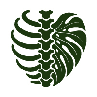 Meraki Chiropractic