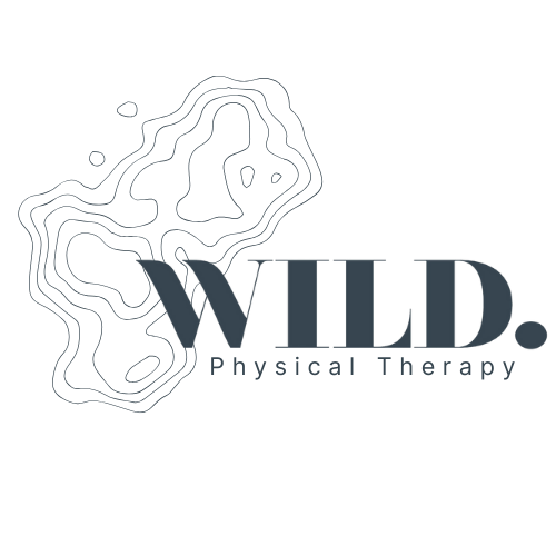 Wild Physical Therapy