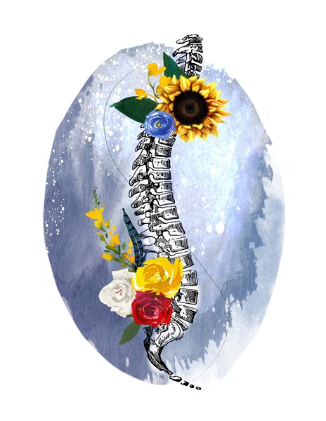 Harmony Chiropractic