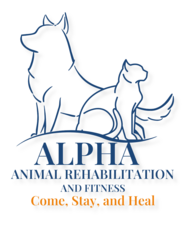 Book an Appointment with Alpha Animal Rehab and Fitness for Animal Physiotherapy