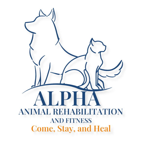 Alpha Animal Rehab and Fitness