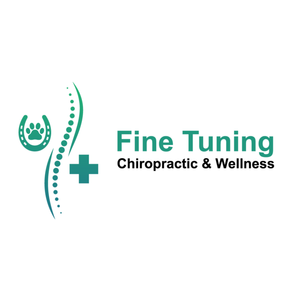 Fine Tuning Chiropractic and Wellness