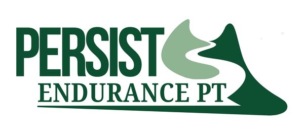 Persist Physical Therapy